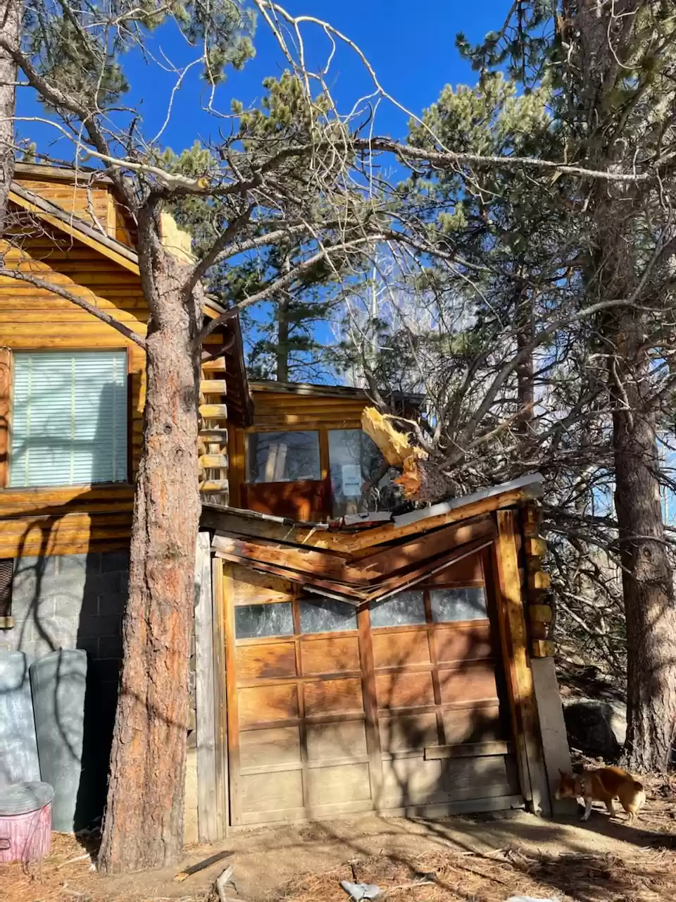 Cabin containing Rupert's works